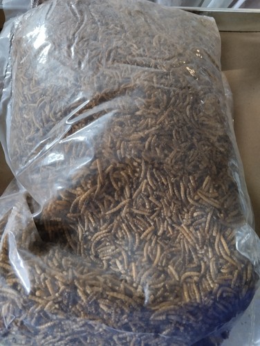 5kg vers farine - de,