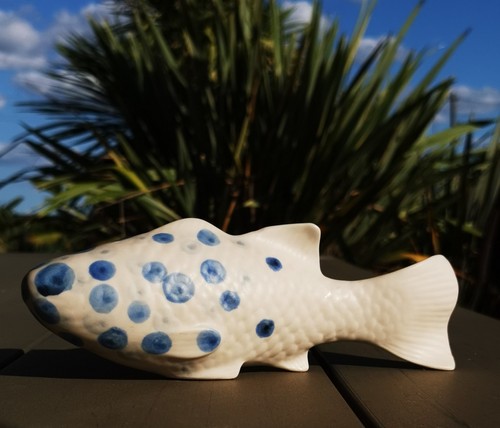 Jolie carpe koi - , en